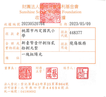 桃園市內定國民小學